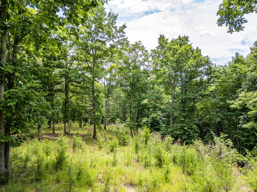 Lt 1 Stormy Ridge, Brasstown NC 28902 - Photo