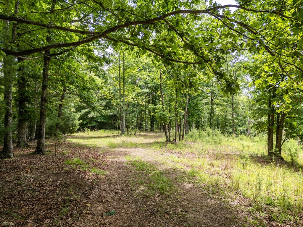 Lt 1 Stormy Ridge, Brasstown NC 28902 - Photo