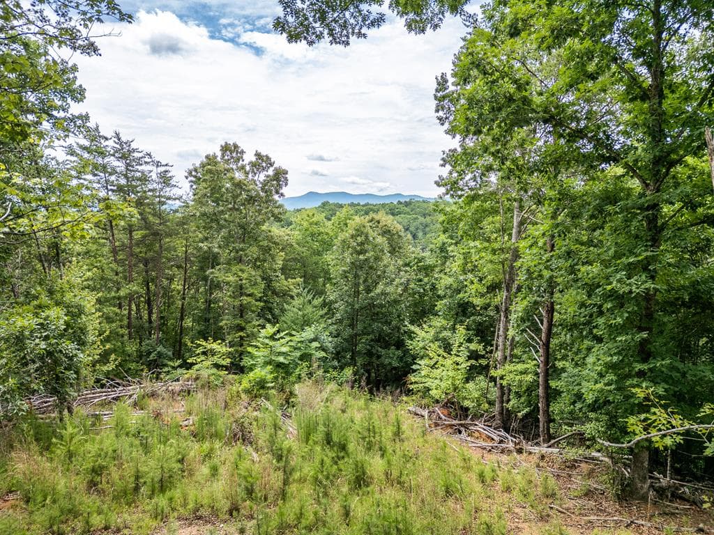Lt 1 Stormy Ridge, Brasstown NC 28902 - Primary photo