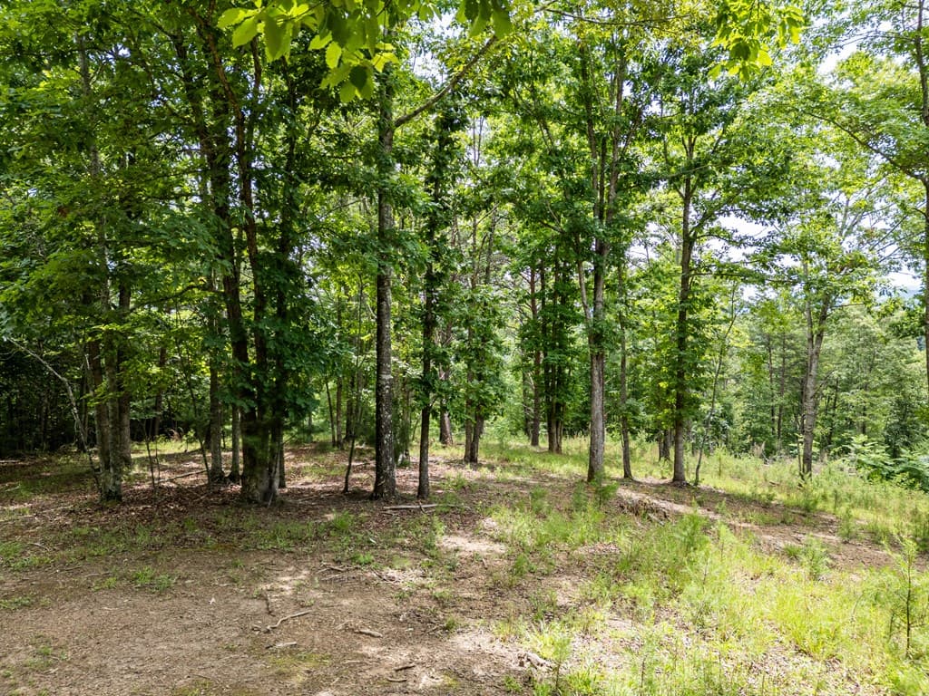 Lt 1 Stormy Ridge, Brasstown NC 28902 - Photo