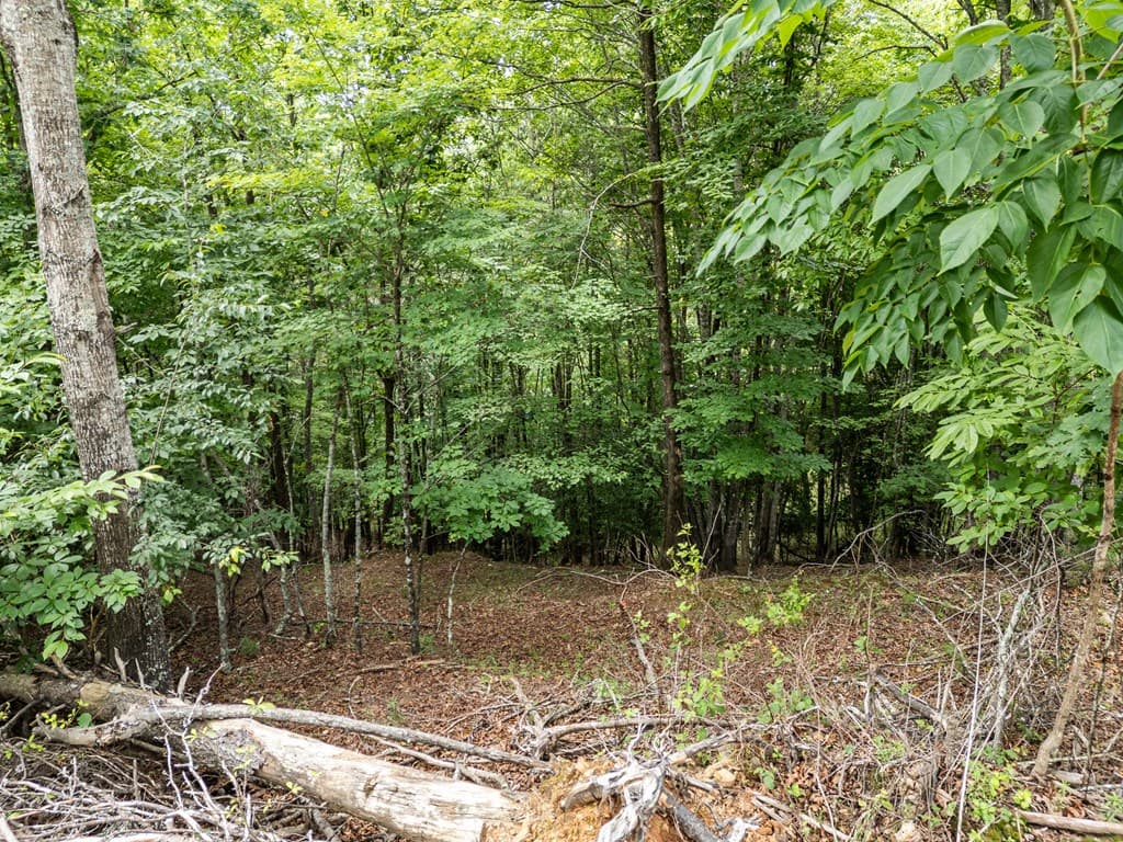 Lt 1 Stormy Ridge, Brasstown NC 28902 - Photo