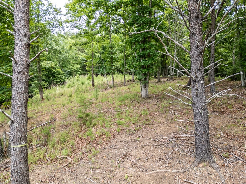 Lt 1 Stormy Ridge, Brasstown NC 28902 - Photo