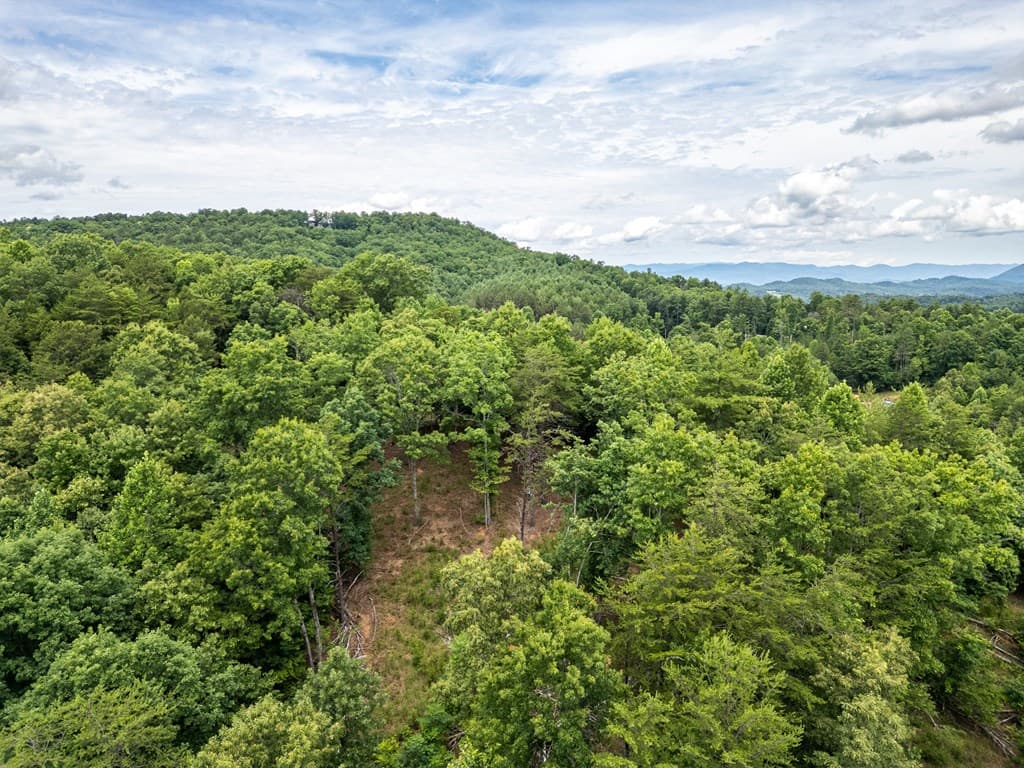Lt 1 Stormy Ridge, Brasstown NC 28902 - Photo