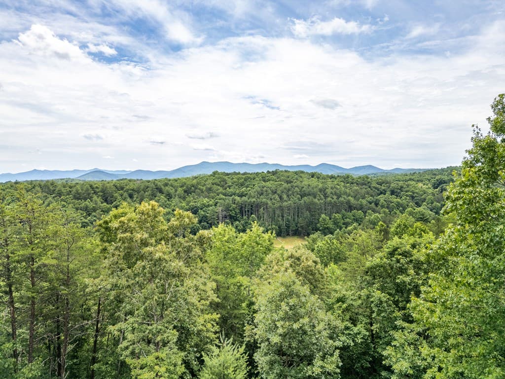 Lt 1 Stormy Ridge, Brasstown NC 28902 - Photo