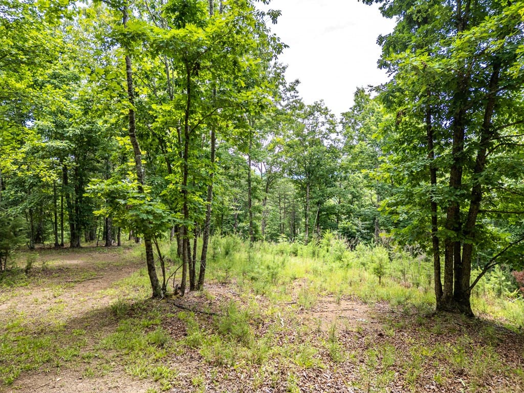 Lt 1 Stormy Ridge, Brasstown NC 28902 - Photo