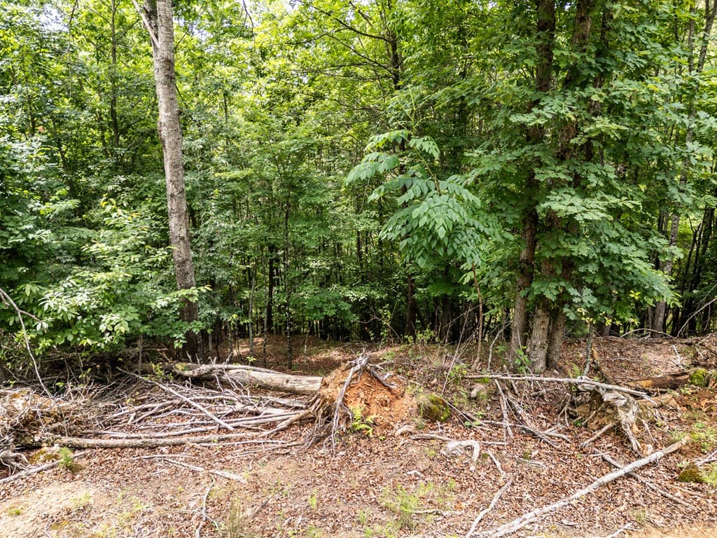 Lt 1 Stormy Ridge, Brasstown NC 28902 - Photo
