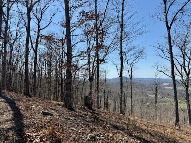 Lot 24 Grand Laurel, Brasstown NC 28902 - Photo