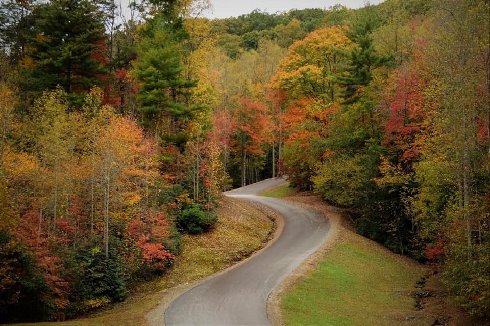 Lot 24 Grand Laurel, Brasstown NC 28902 - Photo