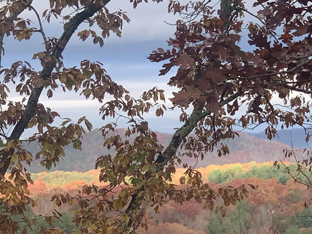 Lot 24 Grand Laurel, Brasstown NC 28902 - Primary photo