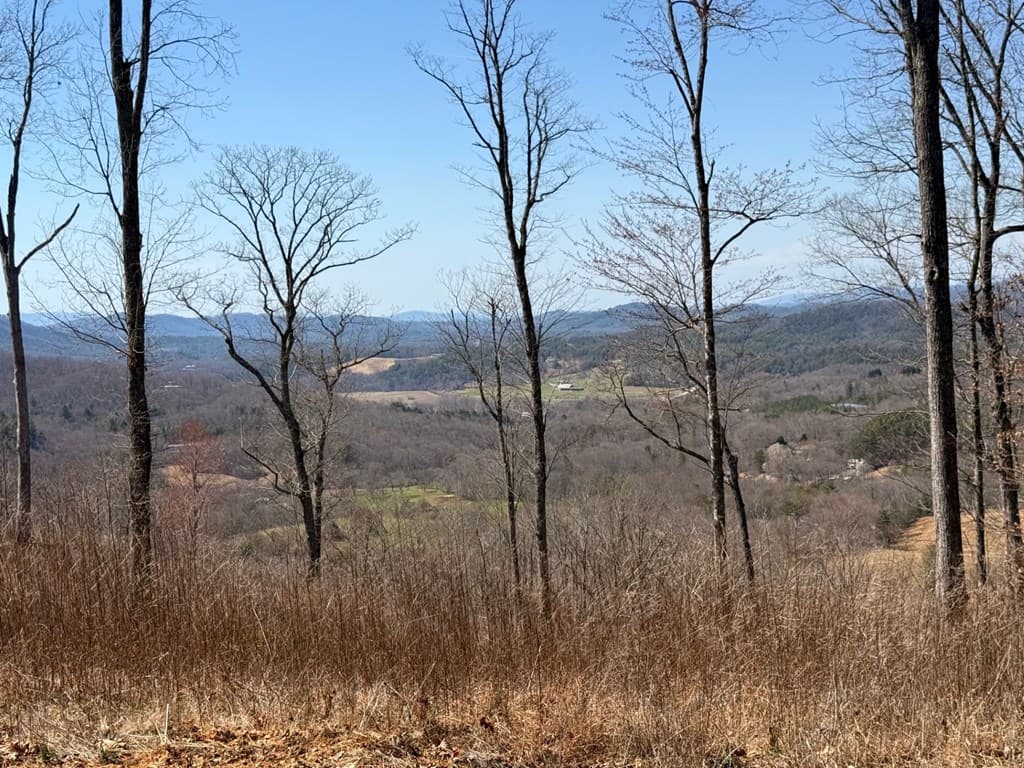 Lot 24 Grand Laurel, Brasstown NC 28902 - Photo