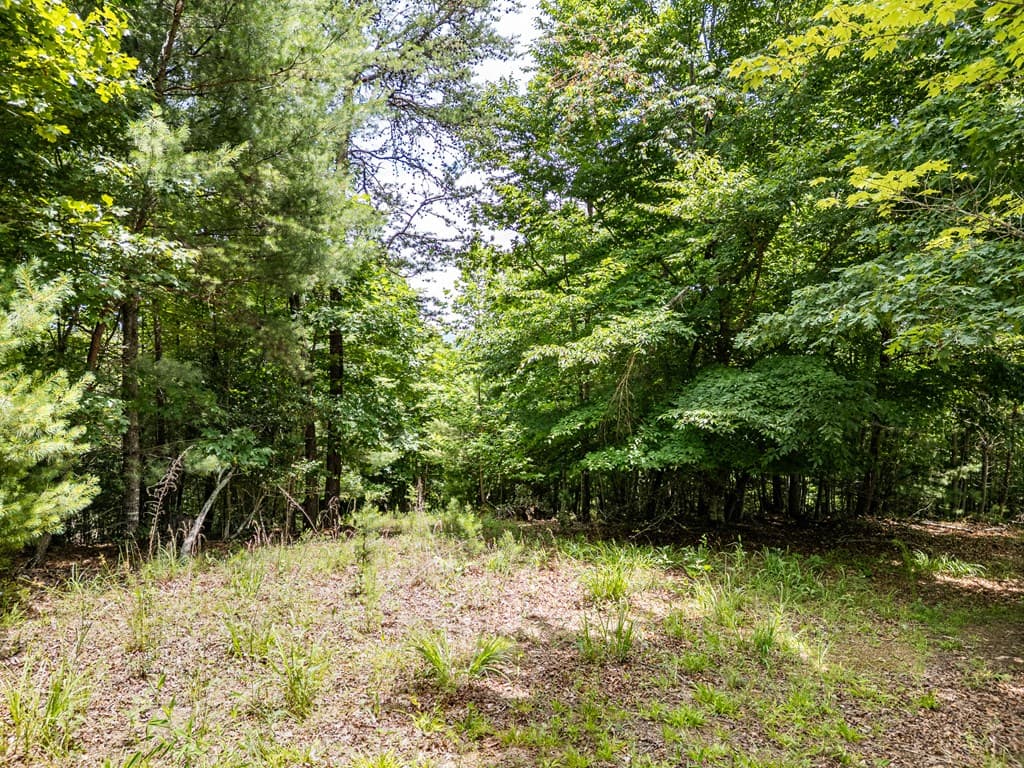 Lt 2 Stormy Ridge, Brasstown NC 28902 - Photo