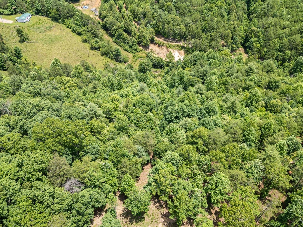 Lt 2 Stormy Ridge, Brasstown NC 28902 - Photo