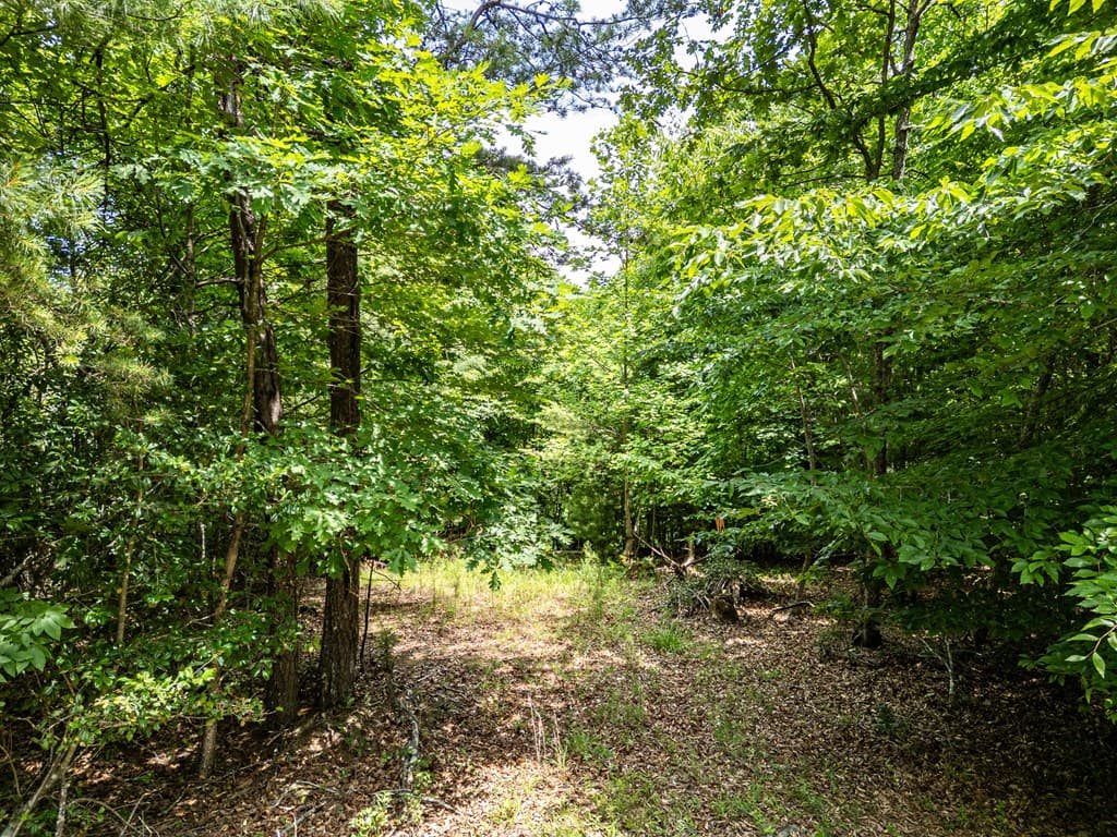 Lt 2 Stormy Ridge, Brasstown NC 28902 - Photo