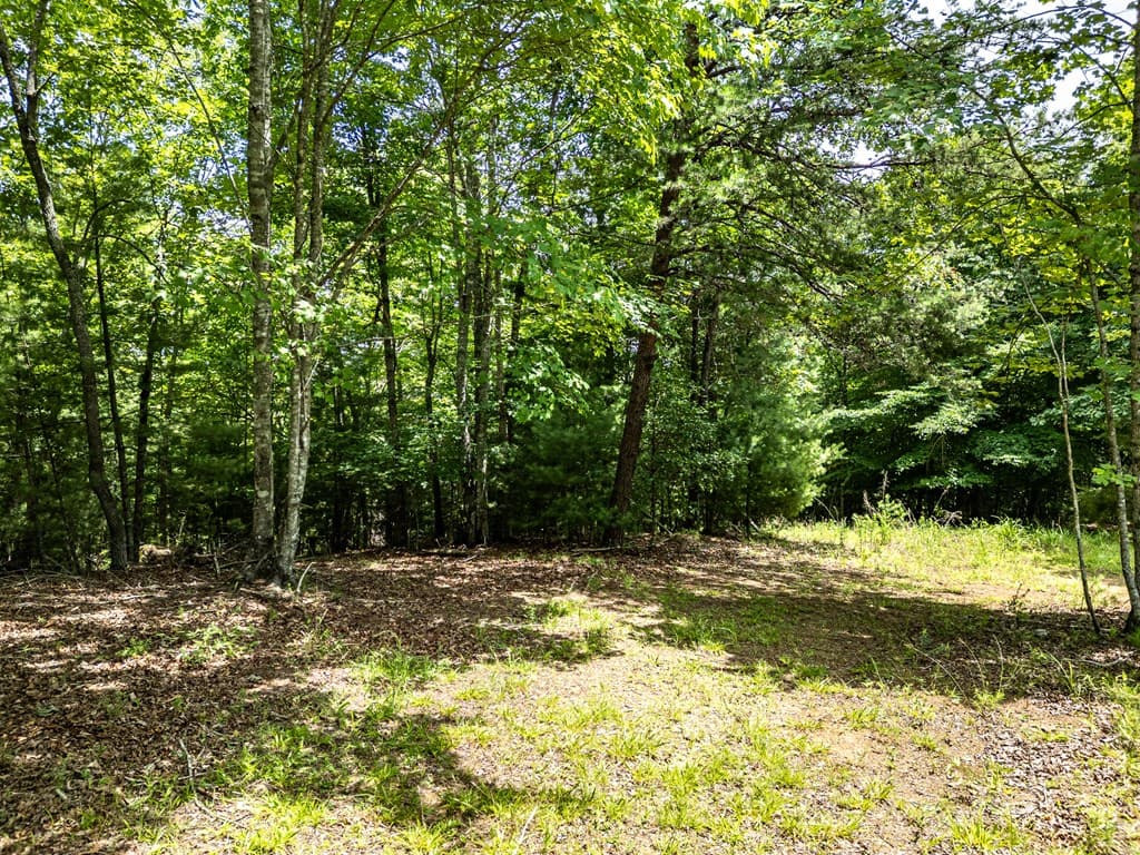 Lt 2 Stormy Ridge, Brasstown NC 28902 - Photo
