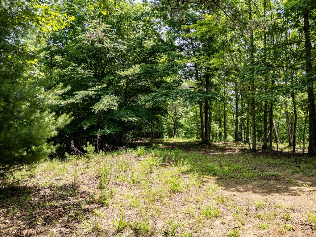 Lt 2 Stormy Ridge, Brasstown NC 28902 - Photo