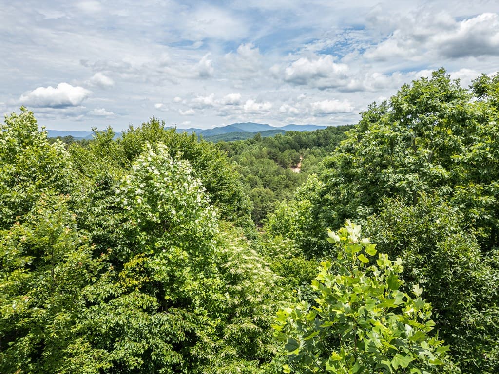 Lt 2 Stormy Ridge, Brasstown NC 28902 - Photo
