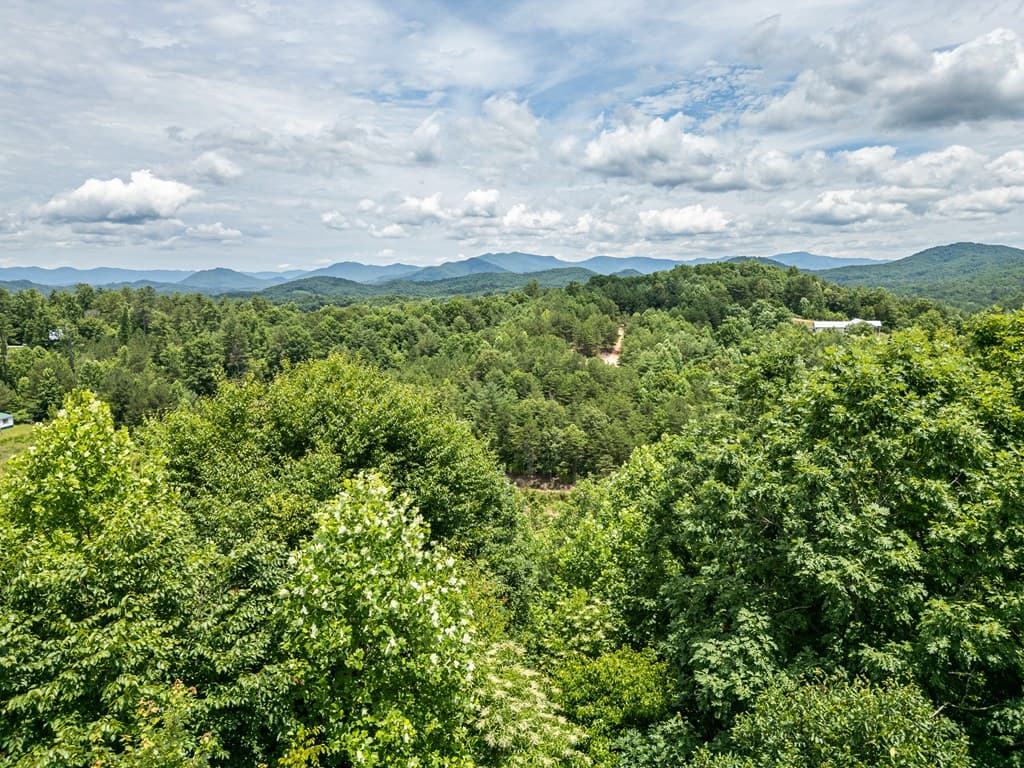 Lt 2 Stormy Ridge, Brasstown NC 28902 - Photo