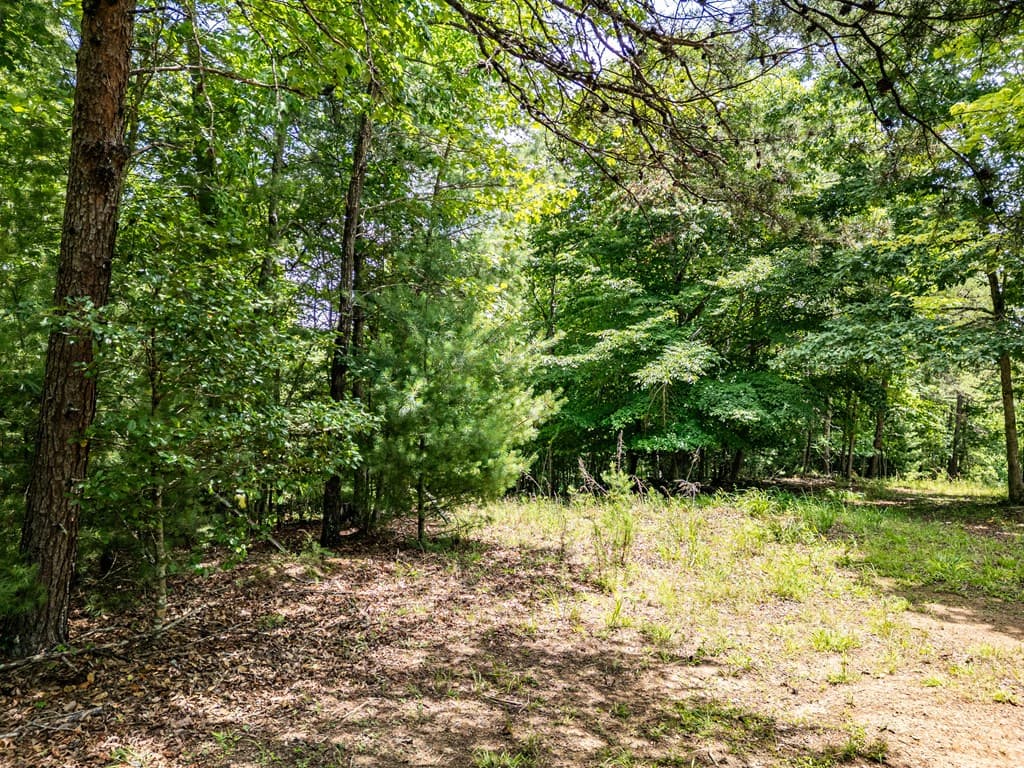 Lt 2 Stormy Ridge, Brasstown NC 28902 - Photo