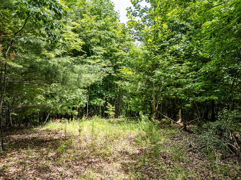 Lt 2 Stormy Ridge, Brasstown NC 28902 - Photo