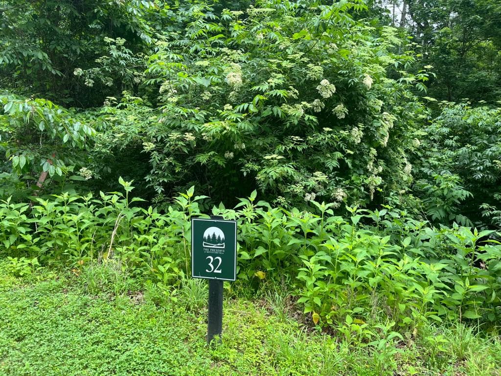 32R Roaring Forks Lane, Ellijay GA 30540 - Photo