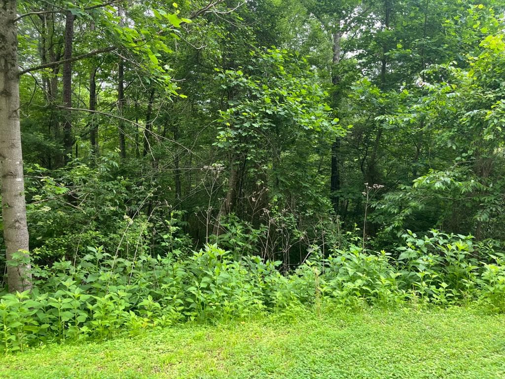 32R Roaring Forks Lane, Ellijay GA 30540 - Photo