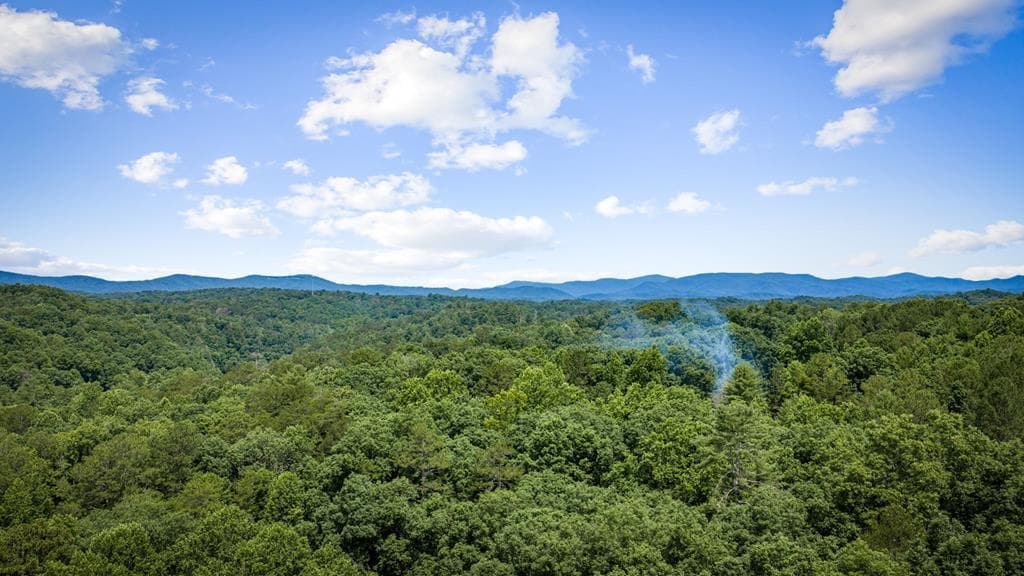 290 Graham Court, Ellijay GA 30540 - Photo