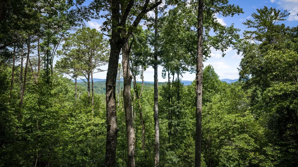 290 Graham Court, Ellijay GA 30540 - Photo