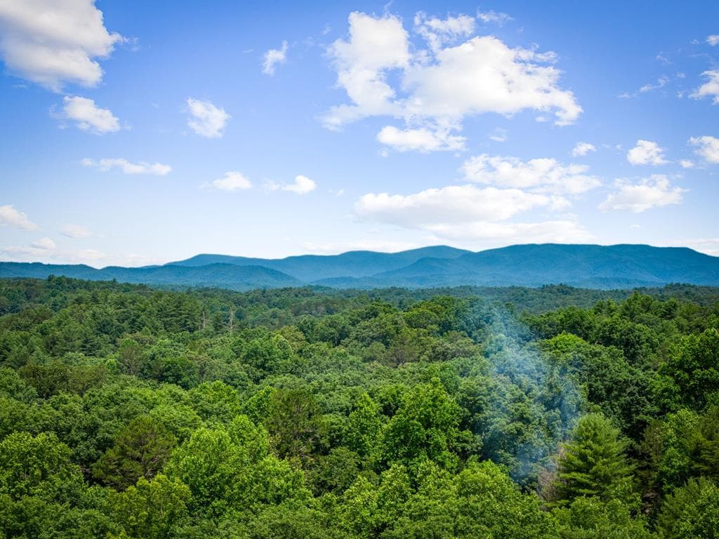 290 Graham Court, Ellijay GA 30540 - Photo