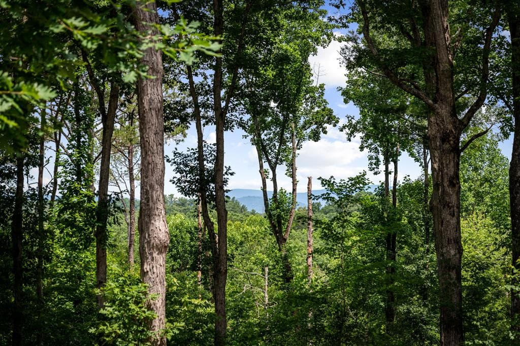 290 Graham Court, Ellijay GA 30540 - Photo
