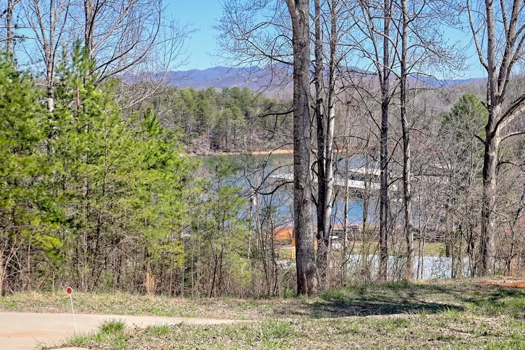 521 Sunnyside Road, Hiawassee GA 30546 - Photo