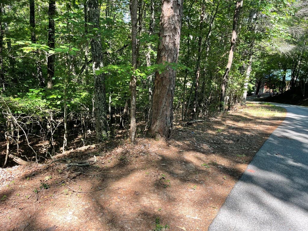 0 Rizzitello Lane, Blairsville GA 30512 - Photo