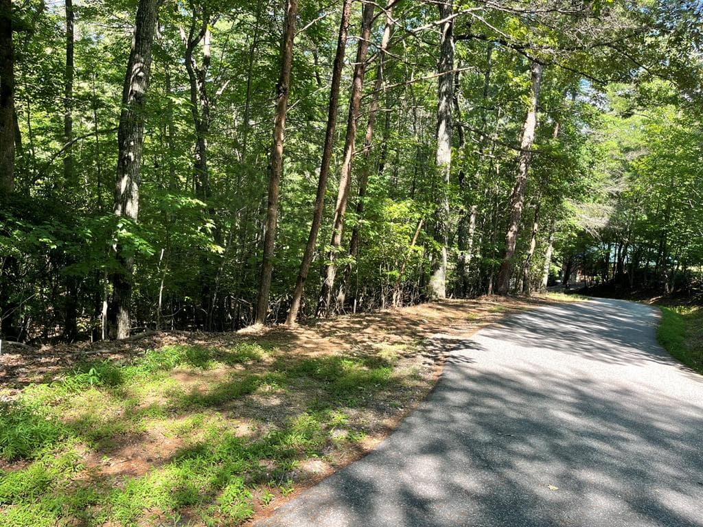 0 Rizzitello Lane, Blairsville GA 30512 - Primary photo