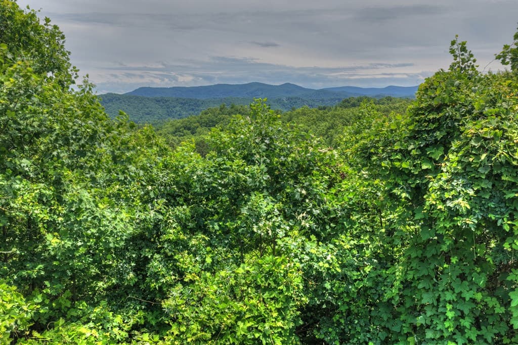 1207 Bullen Gap Road, Blue Ridge GA 30513 - Photo