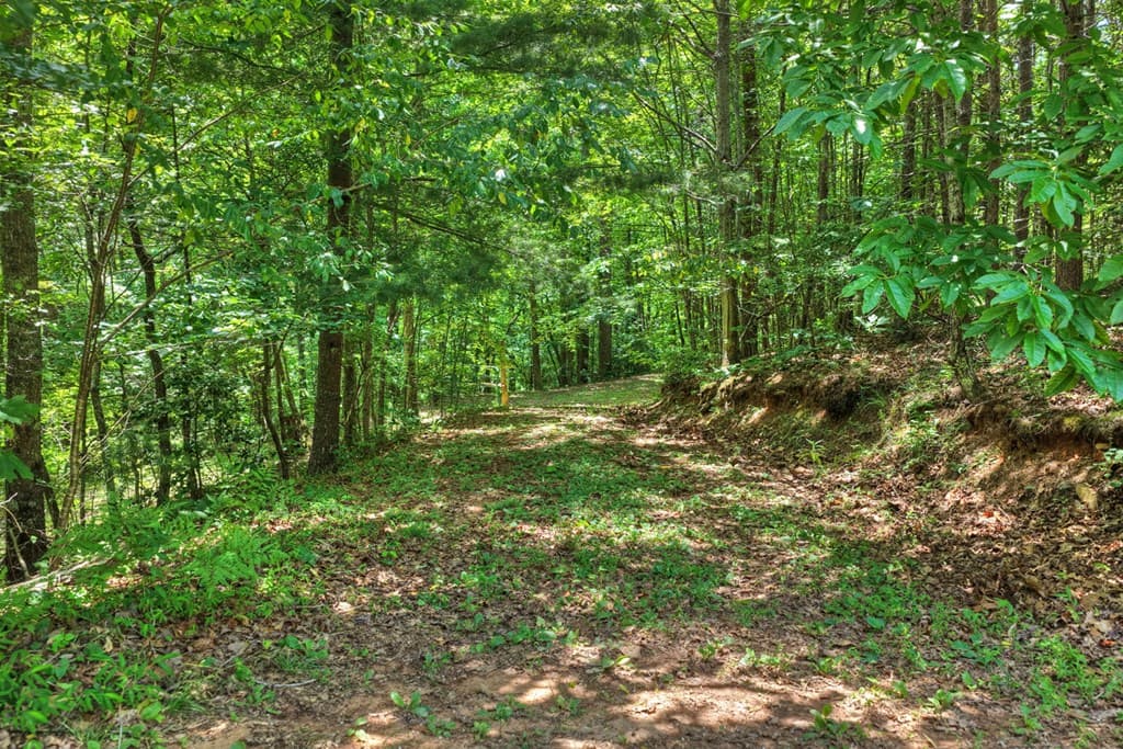 1207 Bullen Gap Road, Blue Ridge GA 30513 - Photo