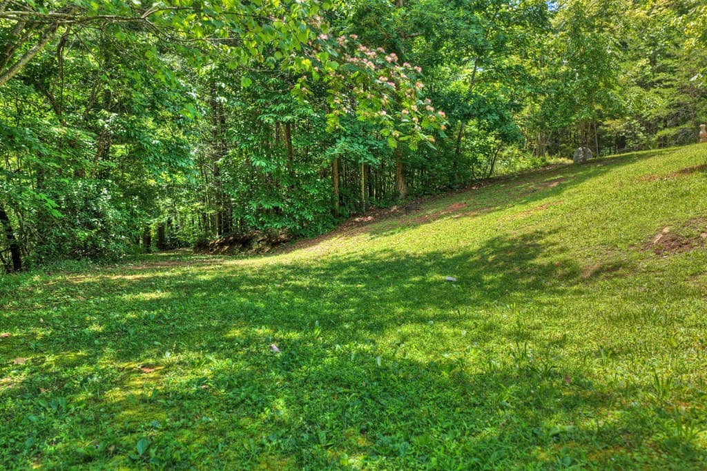 1207 Bullen Gap Road, Blue Ridge GA 30513 - Photo