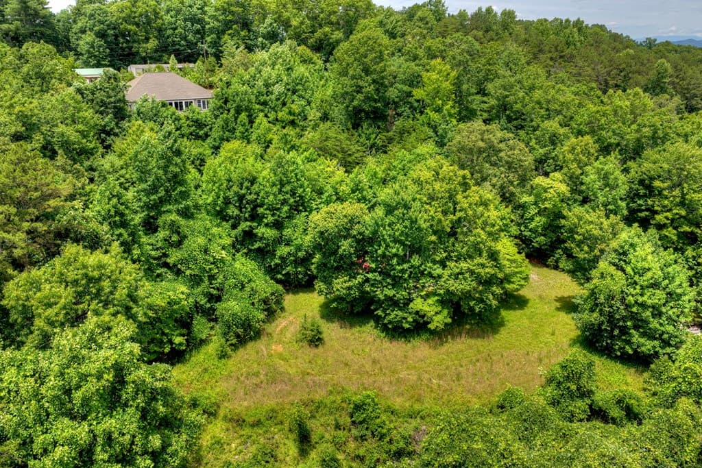 1207 Bullen Gap Road, Blue Ridge GA 30513 - Photo
