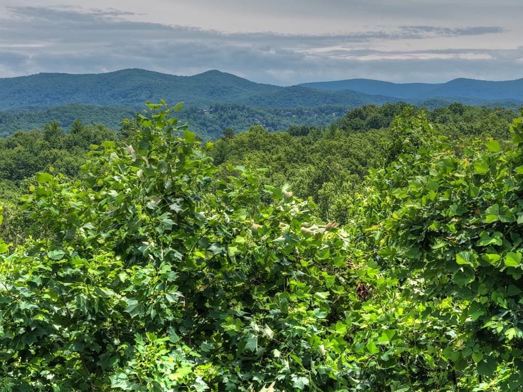 1207 Bullen Gap Road, Blue Ridge GA 30513 - Photo