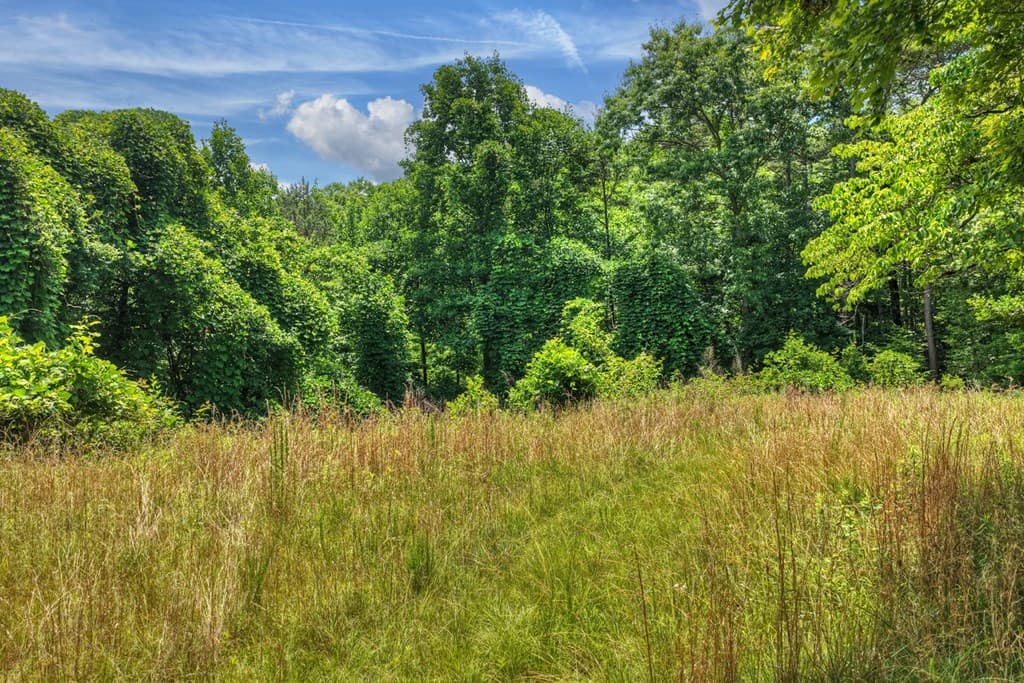 26.29 AC Bullen Gap Road, Blue Ridge GA 30513 - Photo