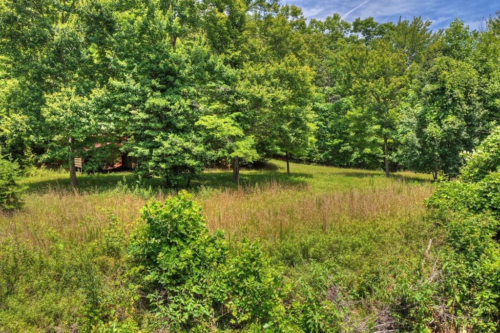 26.29 AC Bullen Gap Road, Blue Ridge GA 30513 - Photo
