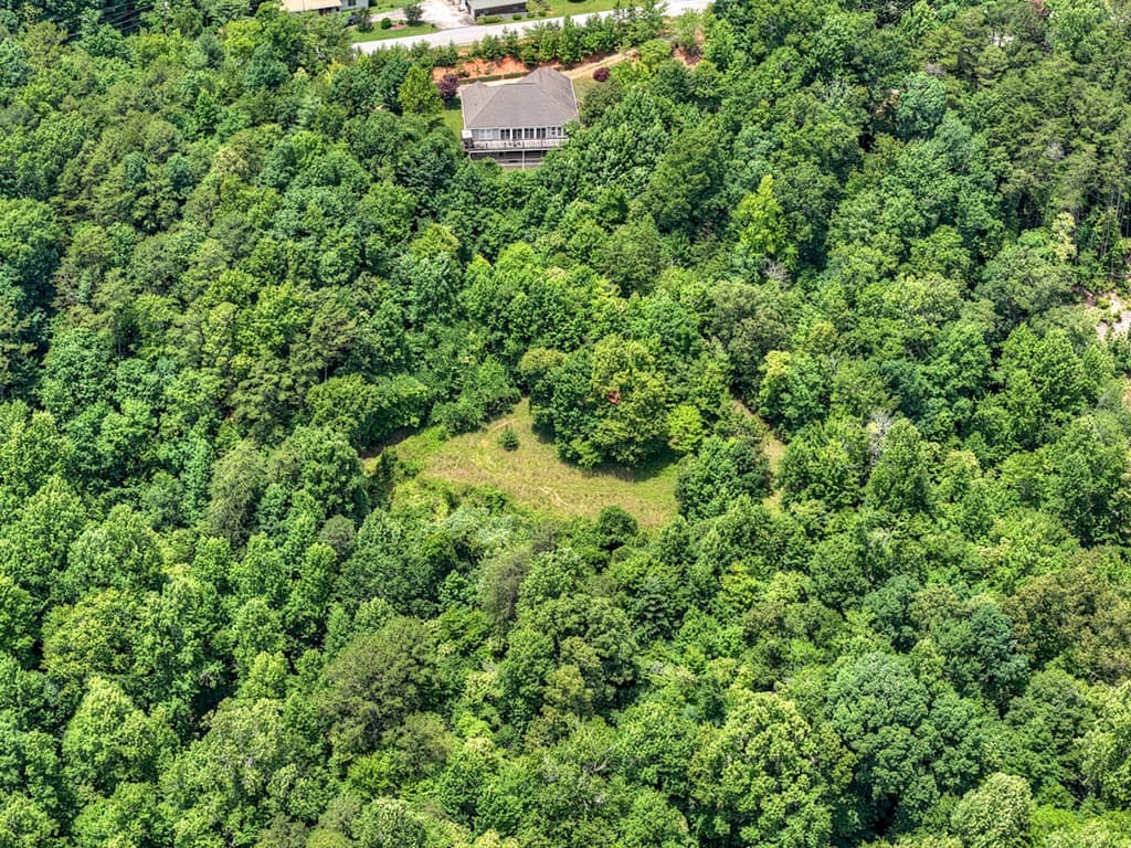 26.29 AC Bullen Gap Road, Blue Ridge GA 30513 - Photo