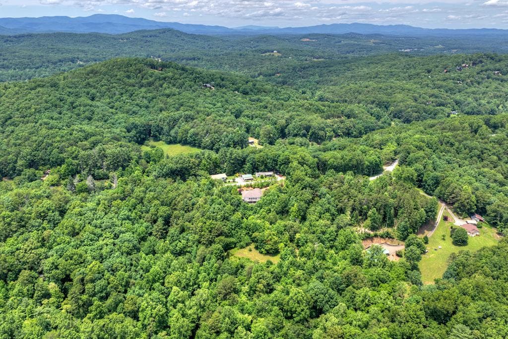 26.29 AC Bullen Gap Road, Blue Ridge GA 30513 - Primary photo