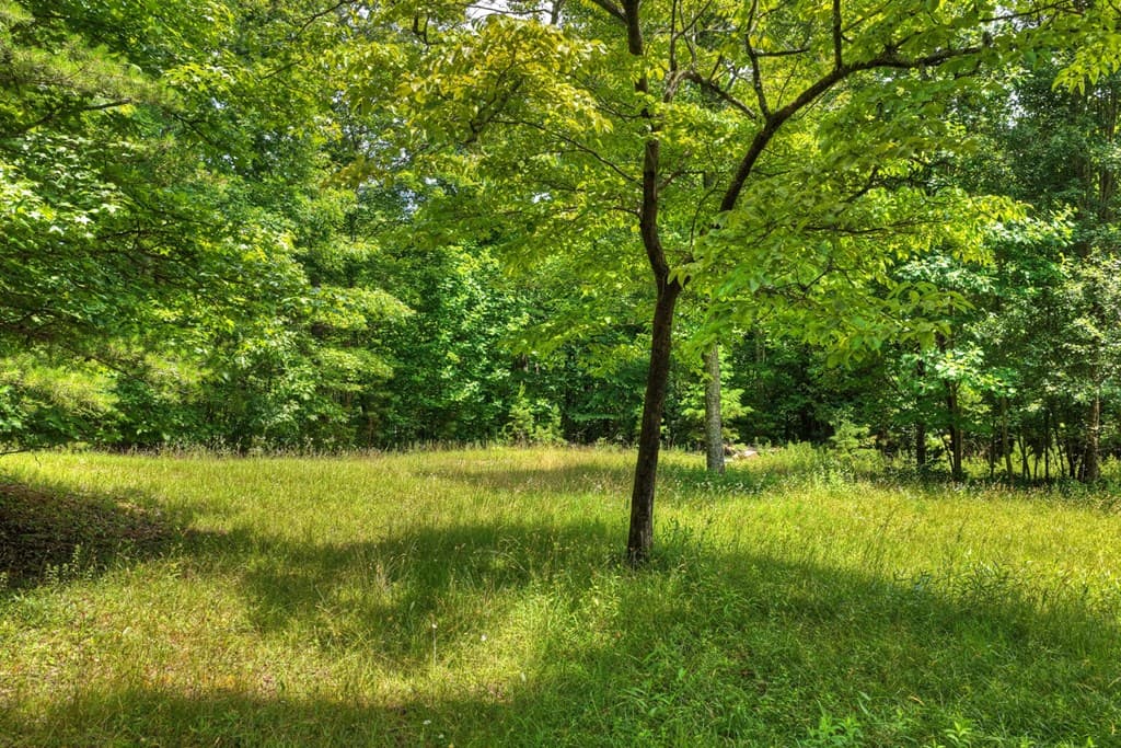 26.29 AC Bullen Gap Road, Blue Ridge GA 30513 - Photo