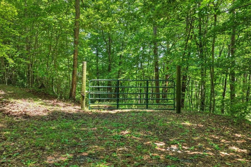 26.29 AC Bullen Gap Road, Blue Ridge GA 30513 - Photo