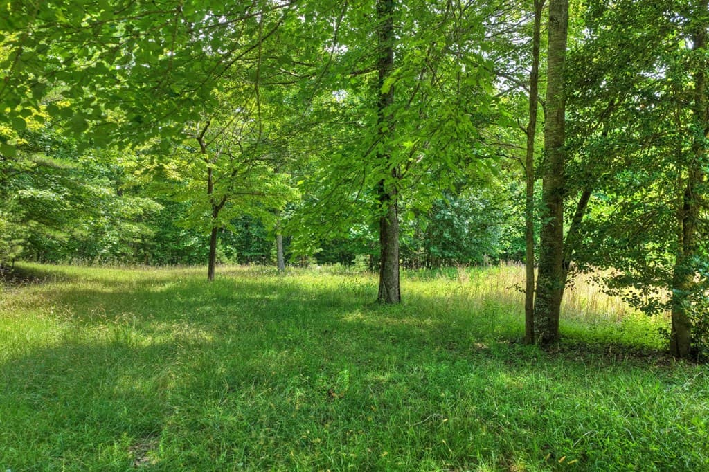 26.29 AC Bullen Gap Road, Blue Ridge GA 30513 - Photo