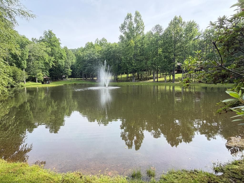 81 Sundance Ridge, Blue Ridge GA 30513 - Photo