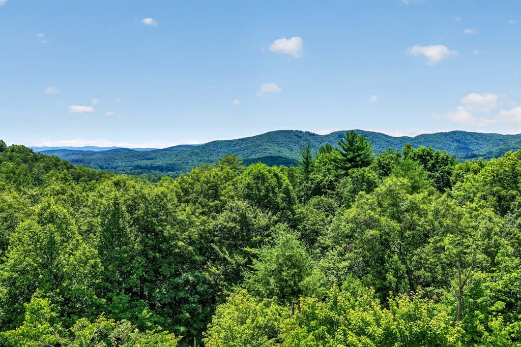 81 Sundance Ridge, Blue Ridge GA 30513 - Photo