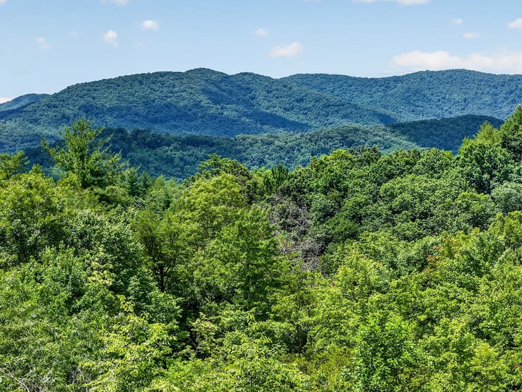 81 Sundance Ridge, Blue Ridge GA 30513 - Photo