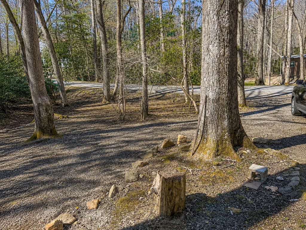 480 Wahu Hu Drive, Hiawassee GA 30546 - Photo
