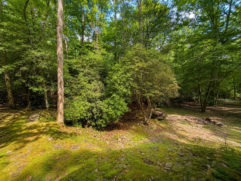 480 Wahu Hu Drive, Hiawassee GA 30546 - Photo