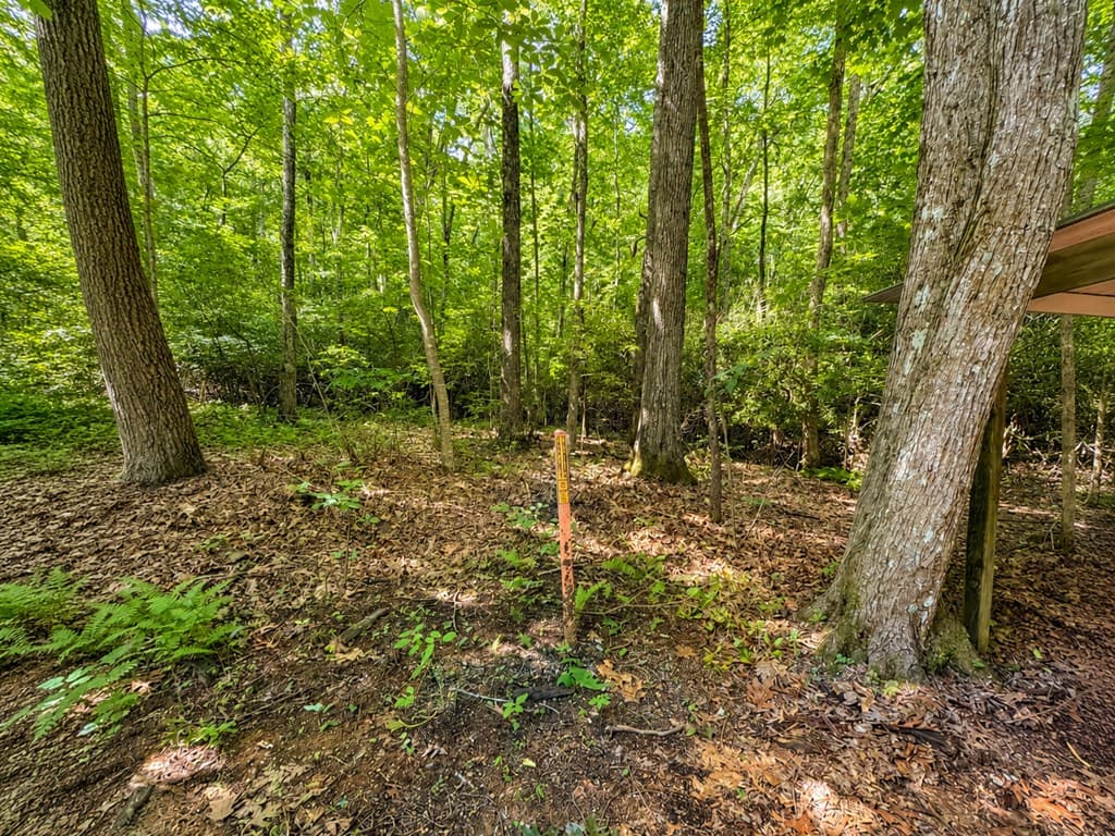 480 Wahu Hu Drive, Hiawassee GA 30546 - Photo